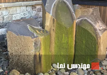 جلبک زدن سنگ آبنما